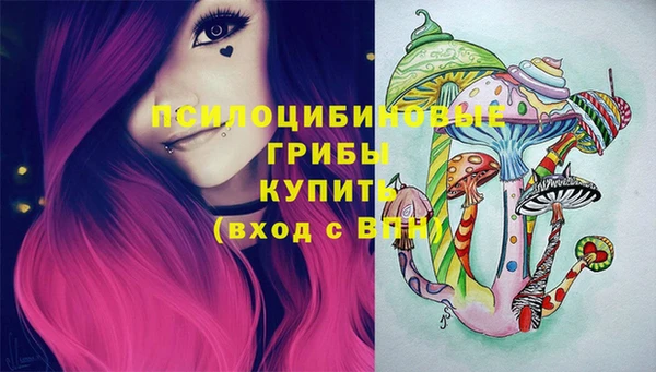 дживик Алзамай