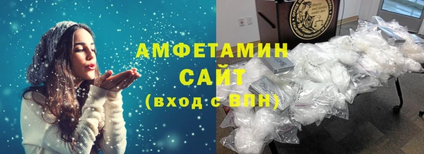 мет Алексин