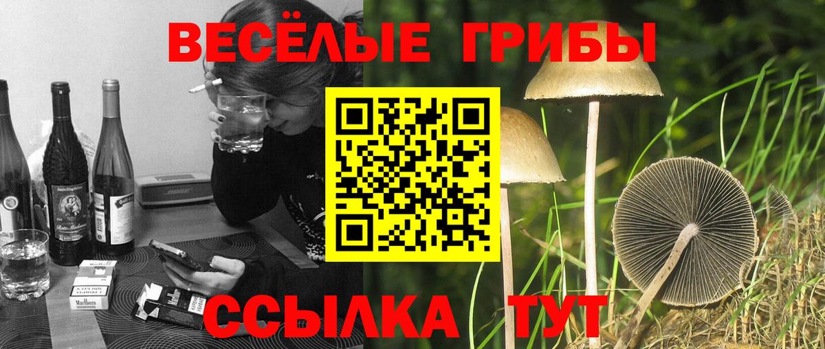 Галлюциногенные грибы прущие грибы  Вход с VPN  купить закладку  Белорецк  Галлюциногенные грибы Psilocybe 